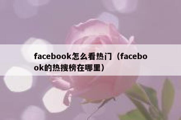 facebook怎么看热门（facebook的热搜榜在哪里） 第1张