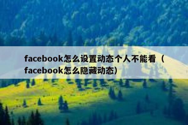 facebook怎么设置动态个人不能看（facebook怎么隐藏动态） 第1张