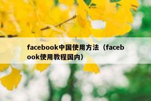 facebook中国使用方法（facebook使用教程国内） 第1张