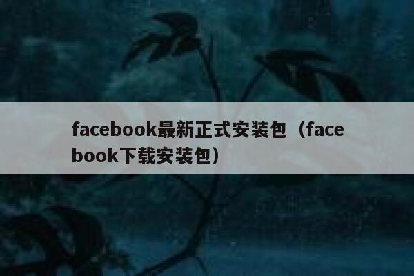facebook最新正式安装包（facebook下载安装包） 第1张