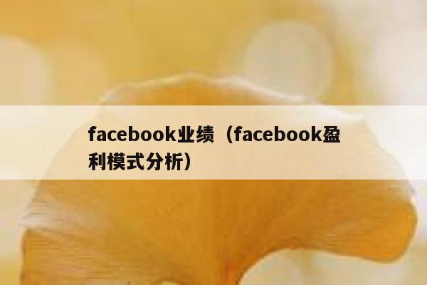 facebook业绩（facebook盈利模式分析） 第1张