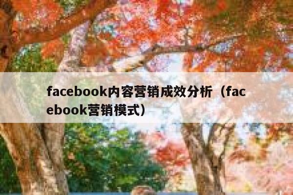 facebook内容营销成效分析（facebook营销模式） 第1张