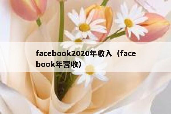 facebook2020年收入（facebook年营收） 第1张