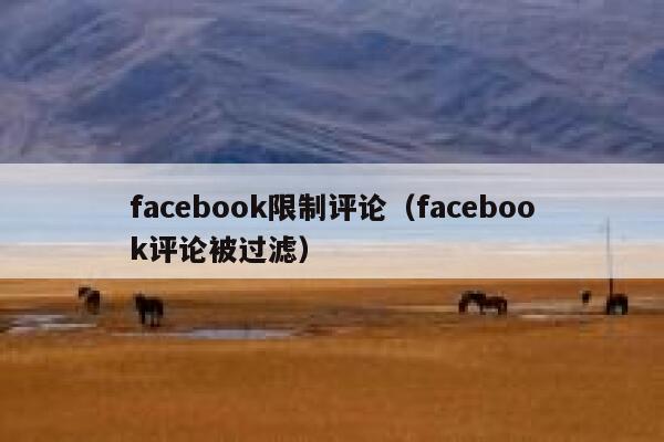 facebook限制评论（facebook评论被过滤） 第1张