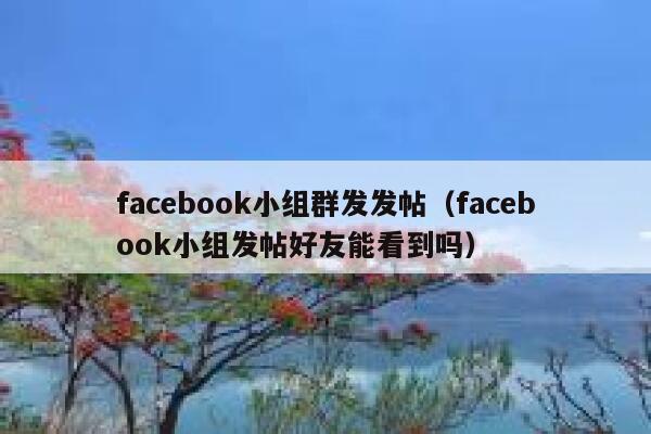 facebook小组群发发帖（facebook小组发帖好友能看到吗） 第1张