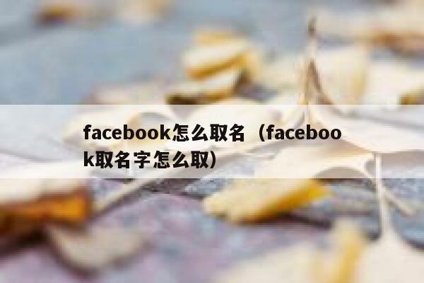 facebook怎么取名（facebook取名字怎么取） 第1张