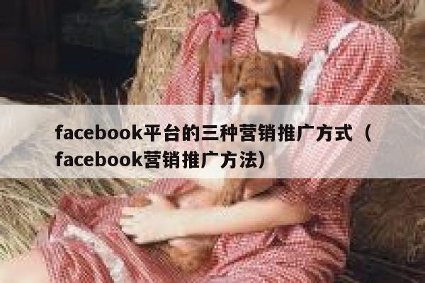 facebook平台的三种营销推广方式（facebook营销推广方法） 第1张