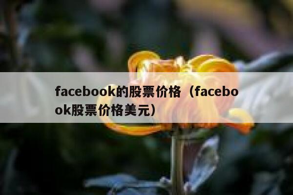 facebook的股票价格（facebook股票价格美元） 第1张
