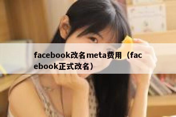 facebook改名meta费用（facebook正式改名） 第1张