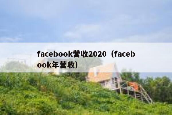 facebook营收2020（facebook年营收） 第1张