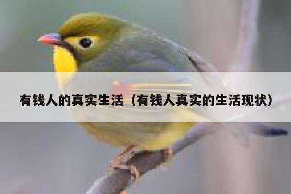 有钱人的真实生活（有钱人真实的生活现状） 第1张
