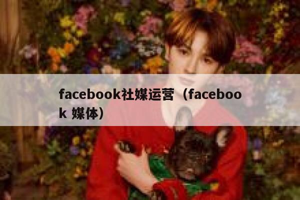 facebook社媒运营（facebook 媒体） 第1张