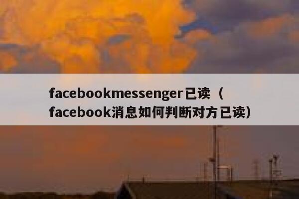 facebookmessenger已读（facebook消息如何判断对方已读） 第1张