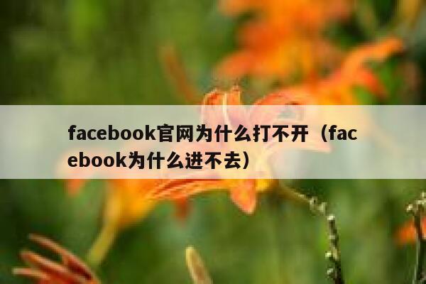 facebook官网为什么打不开（facebook为什么进不去） 第1张