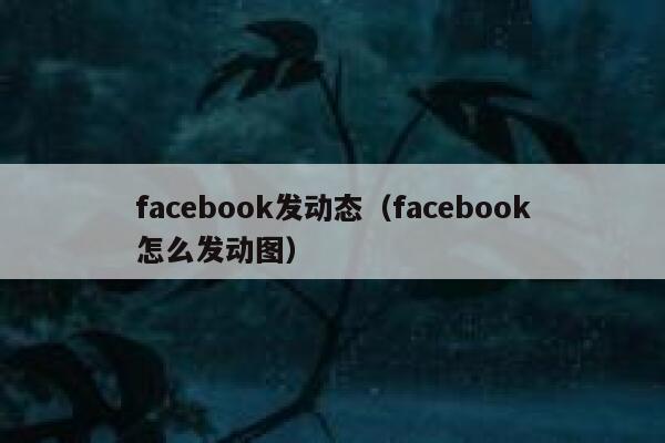facebook发动态（facebook怎么发动图） 第1张