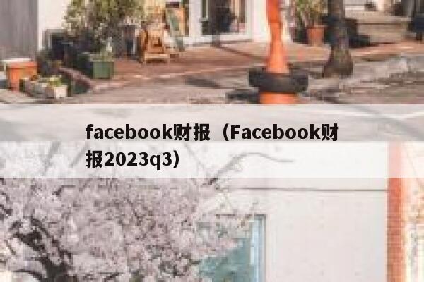 facebook财报（Facebook财报2023q3） 第1张