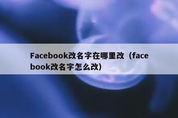 Facebook改名字在哪里改（facebook改名字怎么改） 第1张