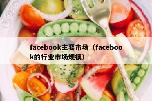 facebook主要市场（facebook的行业市场规模） 第1张