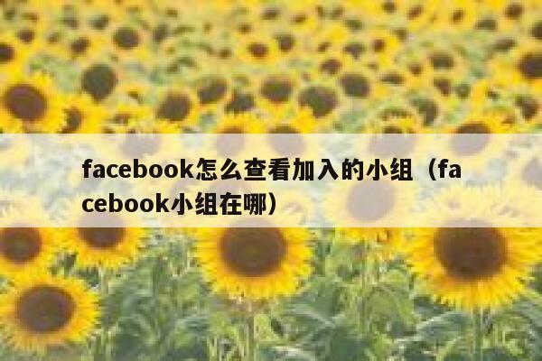 facebook怎么查看加入的小组（facebook小组在哪） 第1张