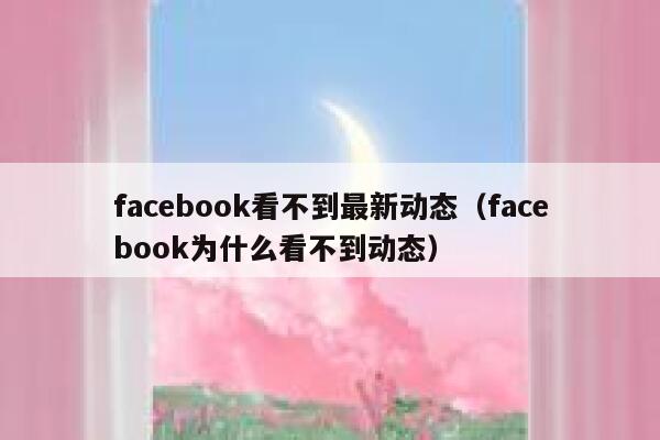 facebook看不到最新动态（facebook为什么看不到动态） 第1张