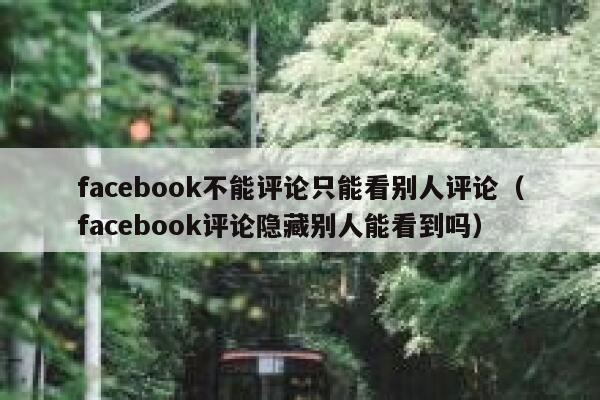 facebook不能评论只能看别人评论（facebook评论隐藏别人能看到吗） 第1张