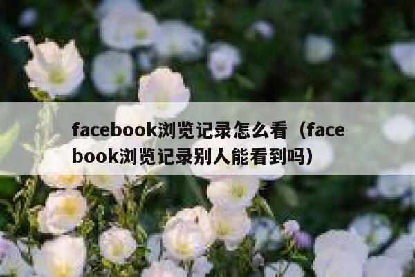 facebook浏览记录怎么看（facebook浏览记录别人能看到吗） 第1张