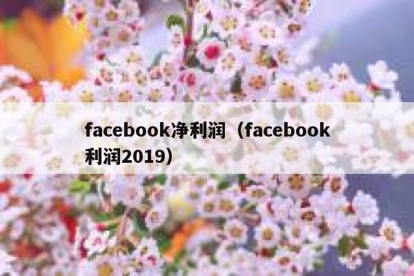 facebook净利润（facebook利润2019） 第1张
