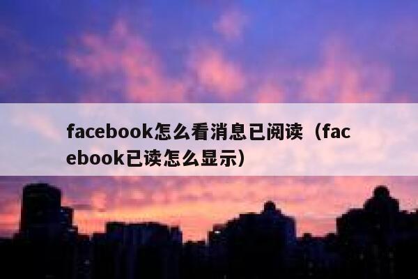 facebook怎么看消息已阅读（facebook已读怎么显示） 第1张