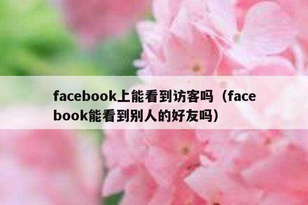 facebook上能看到访客吗（facebook能看到别人的好友吗） 第1张