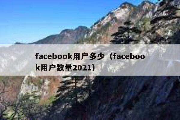 facebook用户多少（facebook用户数量2021） 第1张