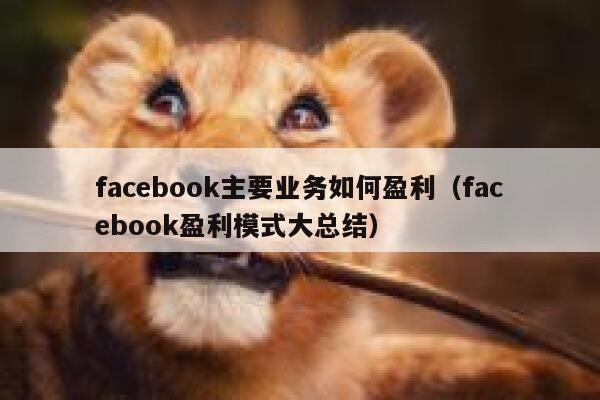 facebook主要业务如何盈利（facebook盈利模式大总结） 第1张