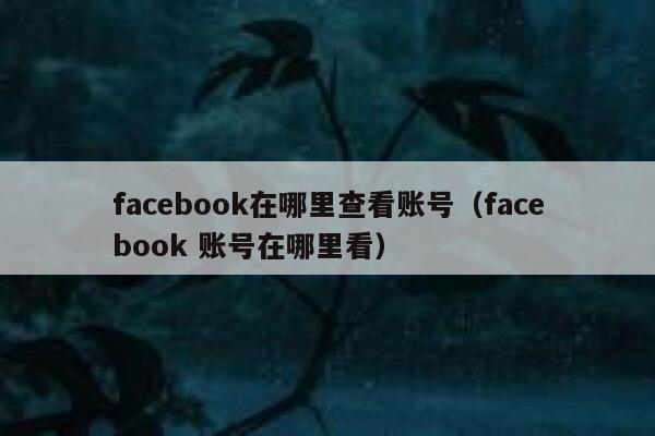 facebook在哪里查看账号（facebook 账号在哪里看） 第1张