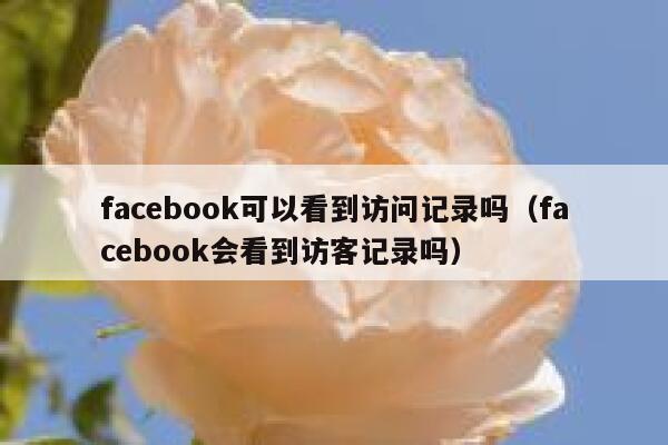 facebook可以看到访问记录吗（facebook会看到访客记录吗） 第1张