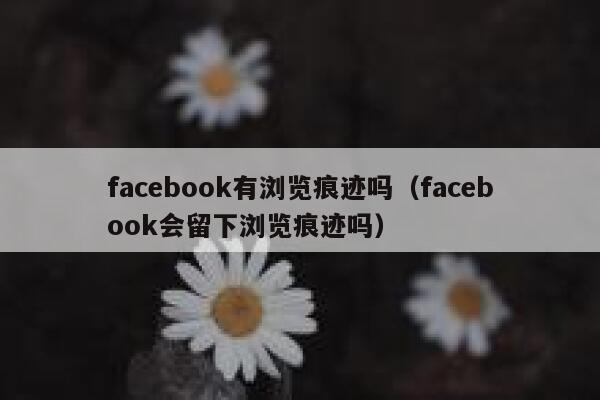 facebook有浏览痕迹吗（facebook会留下浏览痕迹吗） 第1张