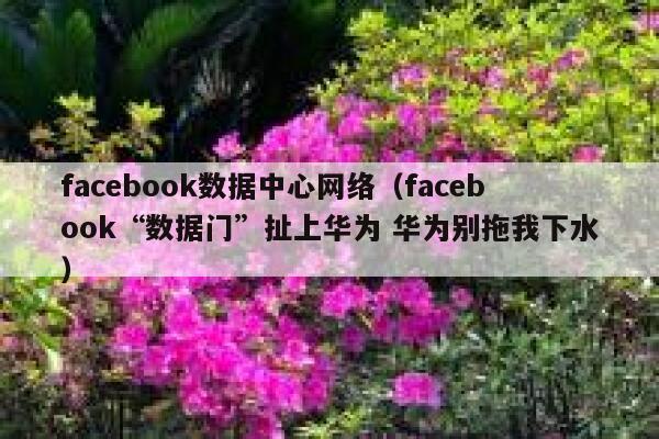 facebook数据中心网络（facebook“数据门”扯上华为 华为别拖我下水） 第1张