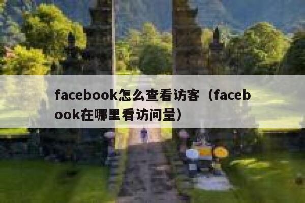 facebook怎么查看访客（facebook在哪里看访问量） 第1张