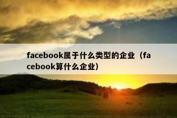 facebook属于什么类型的企业（facebook算什么企业） 第1张