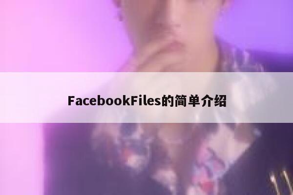 FacebookFiles的简单介绍 第1张