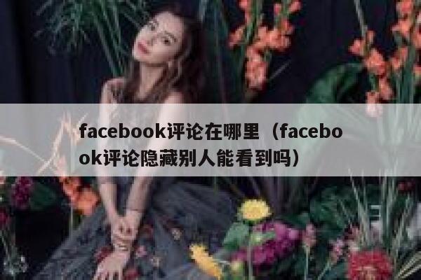 facebook评论在哪里（facebook评论隐藏别人能看到吗） 第1张