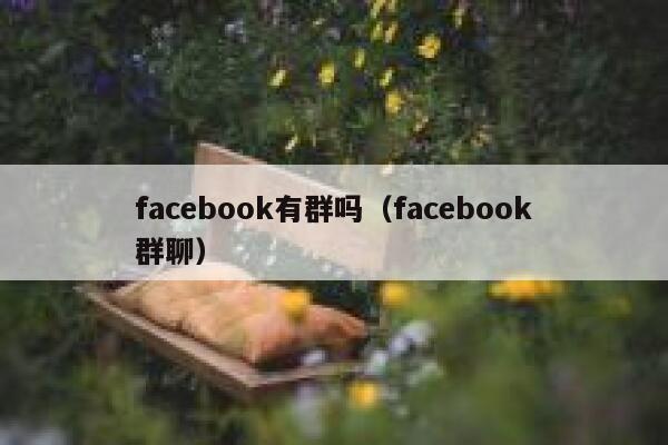 facebook有群吗（facebook群聊） 第1张