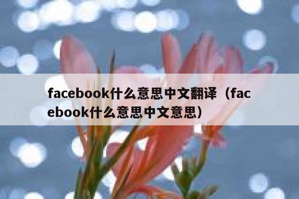 facebook什么意思中文翻译（facebook什么意思中文意思） 第1张