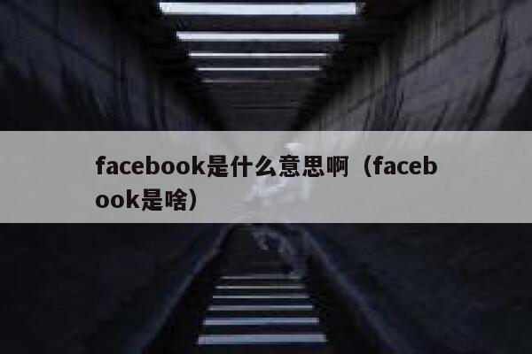 facebook是什么意思啊（facebook是啥） 第1张