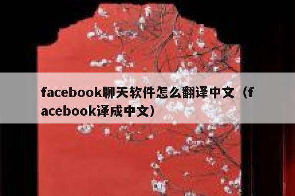 facebook聊天软件怎么翻译中文（facebook译成中文） 第1张