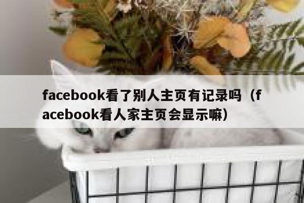 facebook看了别人主页有记录吗（facebook看人家主页会显示嘛） 第1张