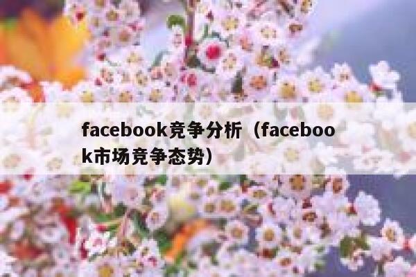 facebook竞争分析（facebook市场竞争态势） 第1张