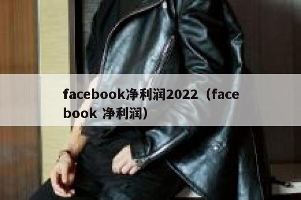 facebook净利润2022（facebook 净利润） 第1张