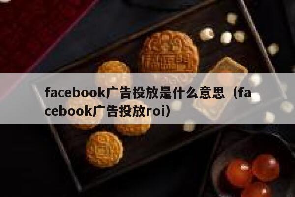 facebook广告投放是什么意思（facebook广告投放roi） 第1张