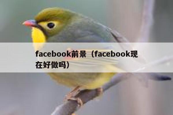facebook前景（facebook现在好做吗） 第1张
