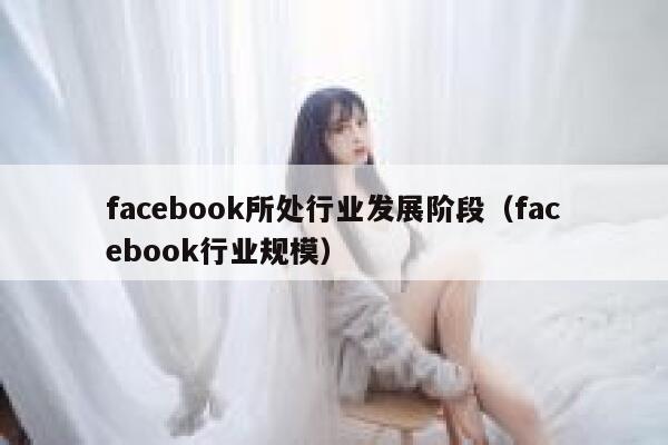 facebook所处行业发展阶段（facebook行业规模） 第1张