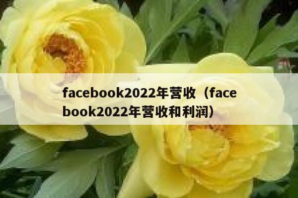facebook2022年营收（facebook2022年营收和利润） 第1张